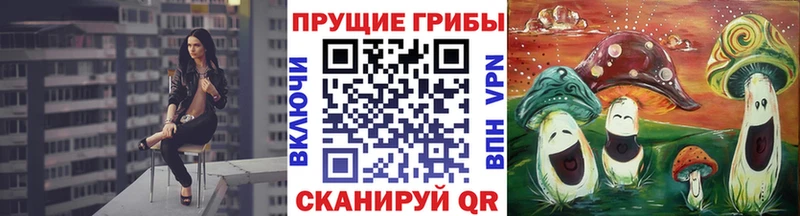 Галлюциногенные грибы MAGIC MUSHROOMS  даркнет сайт  Гремячинск 